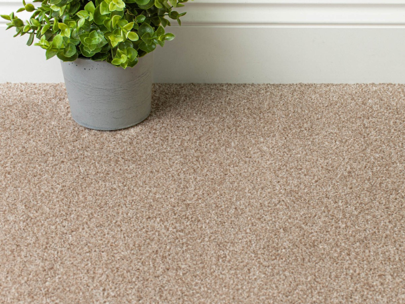 Twist Pile Carpets